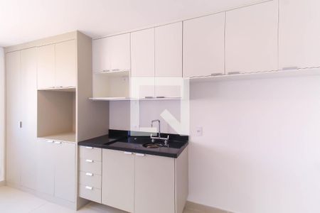 Cozinha de apartamento para alugar com 1 quarto, 26m² em Belenzinho, São Paulo