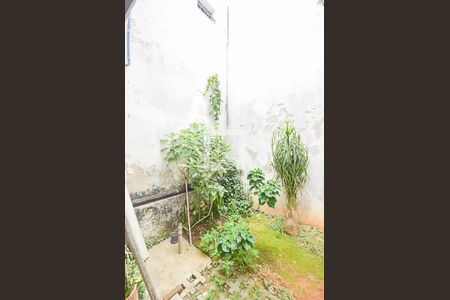 Casa à venda com 235m², 1 quarto e 2 vagasJardim