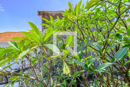 Casa à venda com 90m², 2 quartos e sem vagaVista do Quarto 2