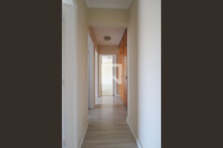 Corredor de apartamento à venda com 3 quartos, 98m² em Cambuí, Campinas
