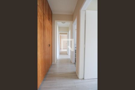 Corredor de apartamento à venda com 3 quartos, 98m² em Cambuí, Campinas