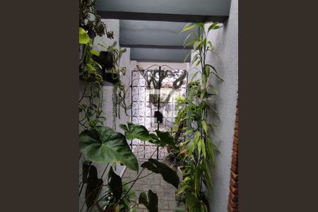 Casa à venda com 300m², 4 quartos e 5 vagasVista