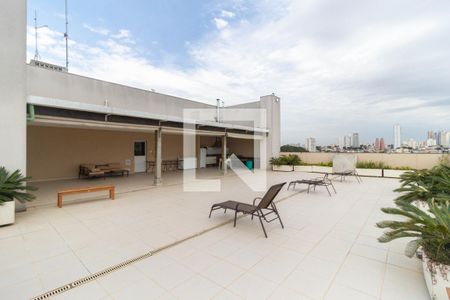 Studio para alugar com 36m², 1 quarto e sem vagaChurrasqueira