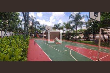 Quadra Esportiva de apartamento para alugar com 2 quartos, 55m² em Sumarezinho, Ribeirão Preto