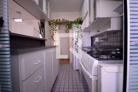 Apartamento para alugar com 63m², 2 quartos e 1 vagaCozinha/Área de Serviço 