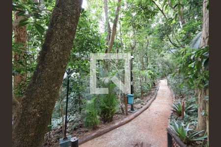 Apartamento à venda com 288m², 4 quartos e 4 vagasÁrea comum / Bosque