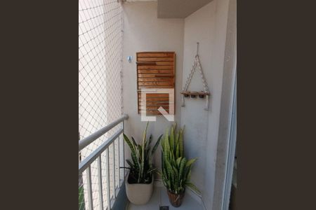 Apartamento para alugar com 3 quartos, 42m² em Parque Rosario, Belford Roxo