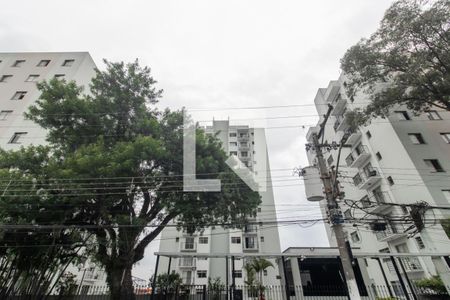 Fachada de apartamento para alugar com 2 quartos, 55m² em Vila Robertina, São Paulo
