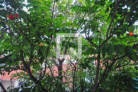 Casa à venda com 234m², 4 quartos e 3 vagasVista do Quarto 3