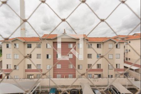 Vista do Quarto 1 de apartamento para alugar com 2 quartos, 53m² em Residencial Cosmos, Campinas