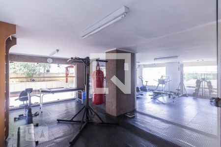Apartamento à venda com 237m², 4 quartos e 2 vagas Apartamento à venda com 237m², 4 quartos e 2 vagasÁrea comum - Academia