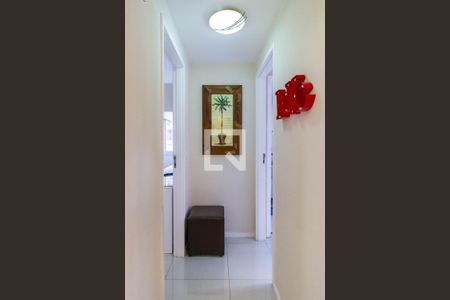 Corredor  de apartamento à venda com 2 quartos, 70m² em Vila Suzana, São Paulo