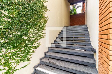 Casa para alugar com 428m², 4 quartos e 6 vagas Casa para alugar com 428m², 4 quartos e 6 vagasQuintal