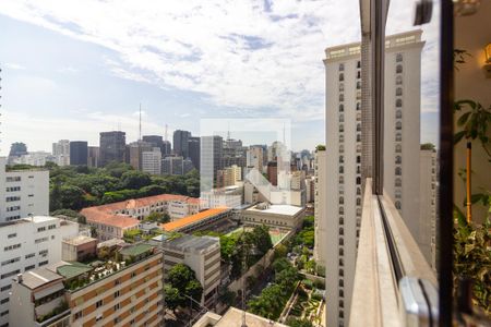 Vista/Varanda de apartamento à venda com 5 quartos, 369m² em Cerqueira César, São Paulo
