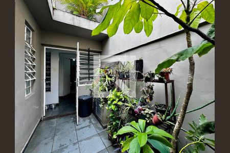 Quintal de casa à venda com 3 quartos, 90m² em Jardim Caravelas, São Paulo