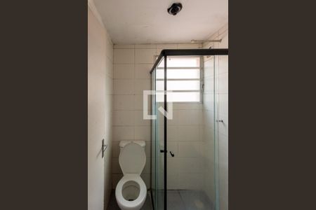 Banheiro de apartamento para alugar com 2 quartos, 60m² em Jardim Yeda, Campinas