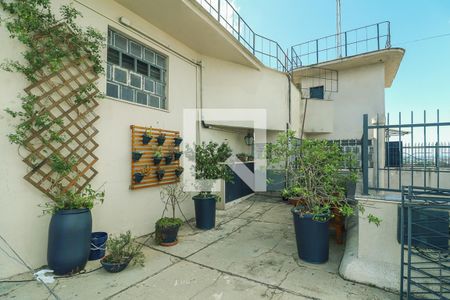 Apartamento à venda com 171m², 3 quartos e sem vaga Apartamento à venda com 171m², 3 quartos e sem vagaTerraço