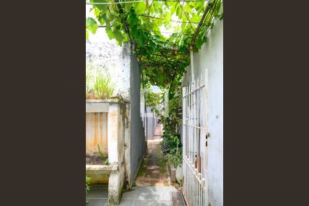 Casa à venda com 217m², 2 quartos e 2 vagas Casa à venda com 217m², 2 quartos e 2 vagasQuintal 2