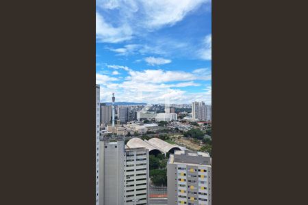 Vista de apartamento para alugar com 1 quarto, 52m² em Barra Funda, São Paulo