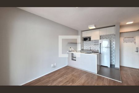 Sala de apartamento para alugar com 1 quarto, 52m² em Barra Funda, São Paulo