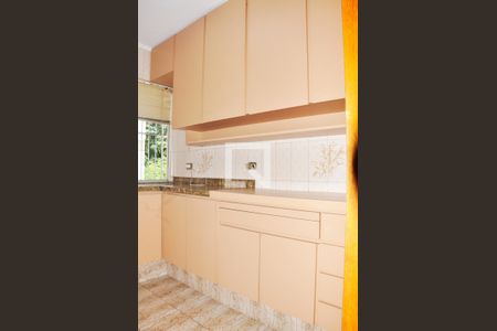 Apartamento para alugar com 52m², 2 quartos e 1 vagaDetalhe - Cozinha