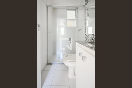 Banheiro Social de apartamento para alugar com 2 quartos, 59m² em Planalto, São Bernardo do Campo