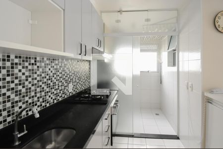 Cozinha - Armários de apartamento para alugar com 2 quartos, 59m² em Planalto, São Bernardo do Campo
