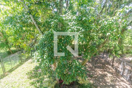 Casa para alugar com 300m², 3 quartos e 3 vagasVista