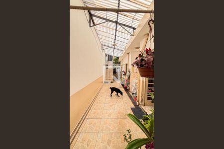 Casa à venda com 200m², 3 quartos e 2 vagasCorredor - Quintal