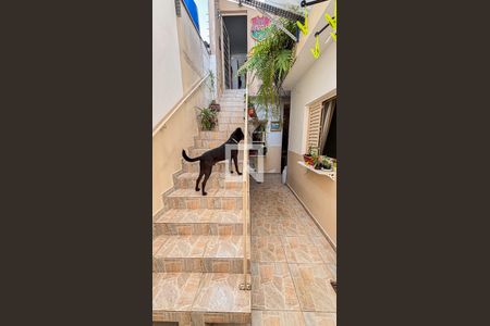 Casa à venda com 200m², 3 quartos e 2 vagasCorredor - Quintal