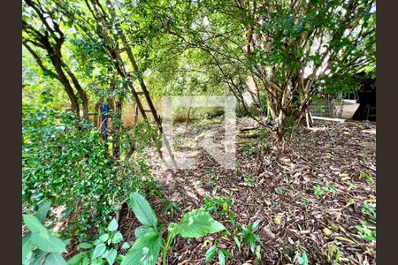 Casa à venda com 500m², 2 quartos e 4 vagas Casa à venda com 500m², 2 quartos e 4 vagasÁrea verde - Fundo quintal