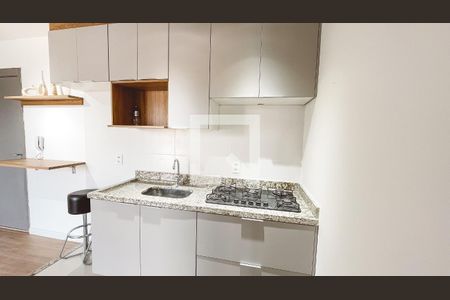 Apartamento para alugar com 29m², 1 quarto e sem vagaCozinha