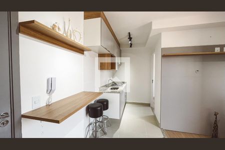 Apartamento para alugar com 29m², 1 quarto e sem vagaCozinha
