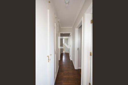 Apartamento para alugar com 111m², 3 quartos e 1 vaga Apartamento para alugar com 111m², 3 quartos e 1 vagaCorredor