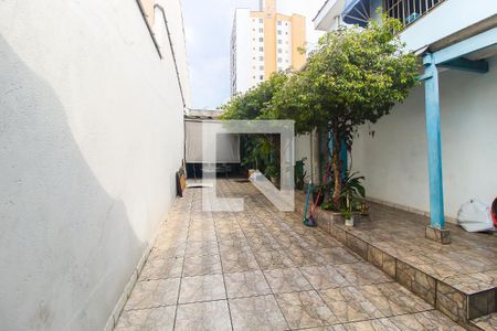Área comum de casa para alugar com 1 quarto, 150m² em Vila Carmosina, São Paulo