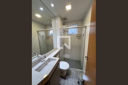 Banheiro de apartamento para alugar com 2 quartos, 43m² em Bandeirantes (pampulha), Belo Horizonte