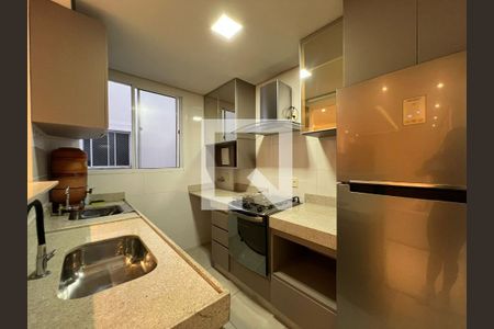 Cozinha de apartamento para alugar com 2 quartos, 43m² em Bandeirantes (pampulha), Belo Horizonte