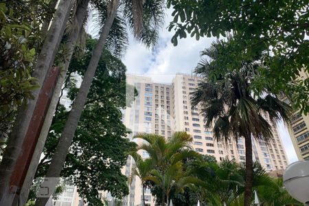 Apartamento para alugar com 116m², 3 quartos e 3 vagasÁrea comum