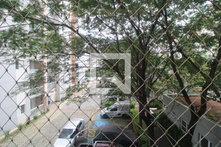 Varanda - Sala de apartamento à venda com 2 quartos, 70m² em Cidade Ademar, São Paulo