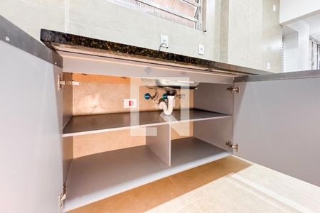 Apartamento para alugar com 72m², 2 quartos e sem vagaCozinha - Armários