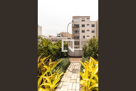 Apartamento para alugar com 1 quarto, 24m² em Campos Elíseos, São Paulo