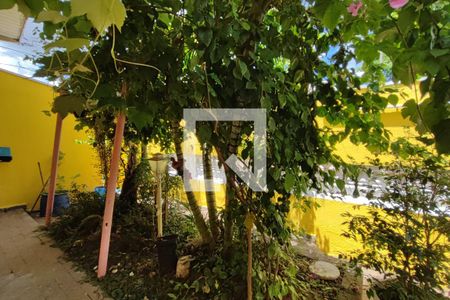 Casa à venda com 420m², 6 quartos e 7 vagasQuintal