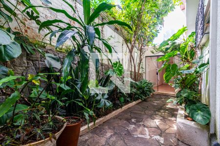 Casa para alugar com 280m², 3 quartos e 4 vagasQuintal