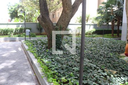 Apartamento para alugar com 74m², 3 quartos e 1 vagaÁrea comum