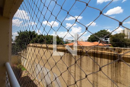 VISTA DASACADA de apartamento para alugar com 2 quartos, 56m² em Vila Joao Jorge, Campinas