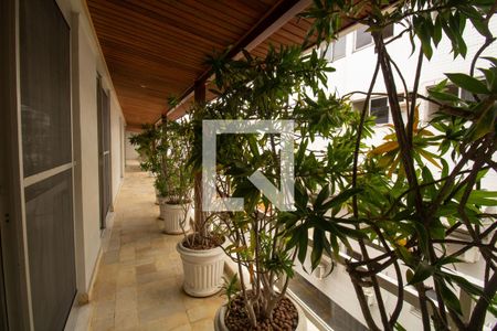 Apartamento à venda com 784m², 5 quartos e 4 vagas Apartamento à venda com 784m², 5 quartos e 4 vagasVaranda dos quartos - 1 andar