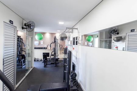 Apartamento à venda com 69m², 3 quartos e 1 vaga Apartamento à venda com 69m², 3 quartos e 1 vagaÁrea comum - Academia