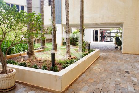 Área comum de apartamento para alugar com 3 quartos, 100m² em Vila Seixas, Ribeirão Preto