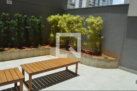 Studio para alugar com 25m², 1 quarto e sem vagaÁrea comum