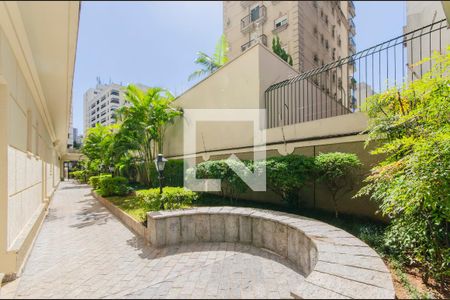 Área comum de apartamento para alugar com 2 quartos, 66m² em Vila Mariana, São Paulo